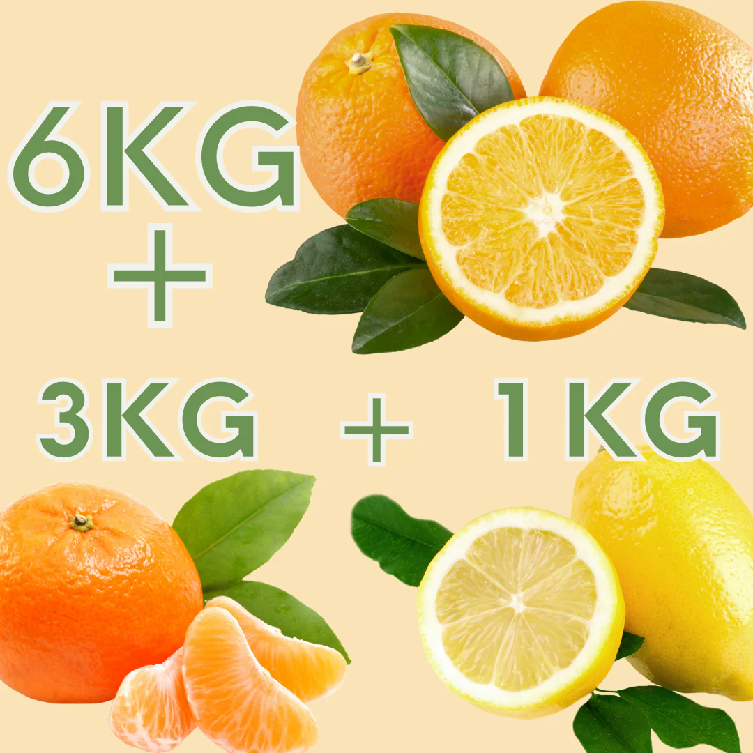 Imagen del producto 3